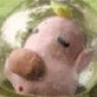 Werdunk thumbnail
