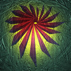 Treecreation thumbnail