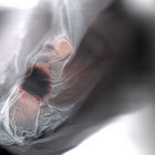sawjer thumbnail