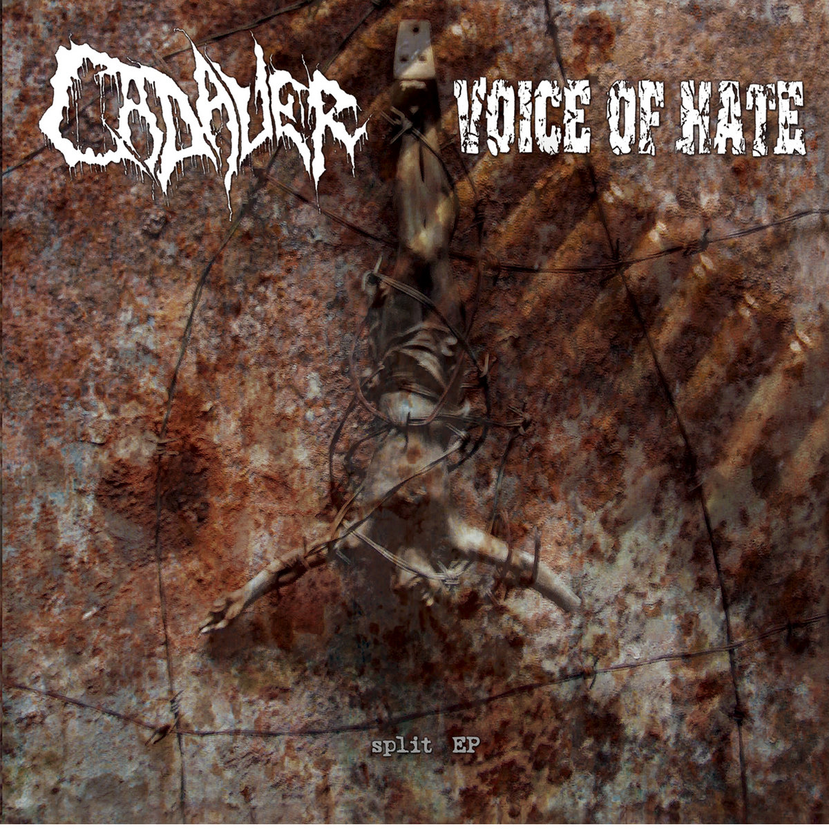 planta cadaver  貴重CD  デスメタル CADAVER / VOICE OF HATE 