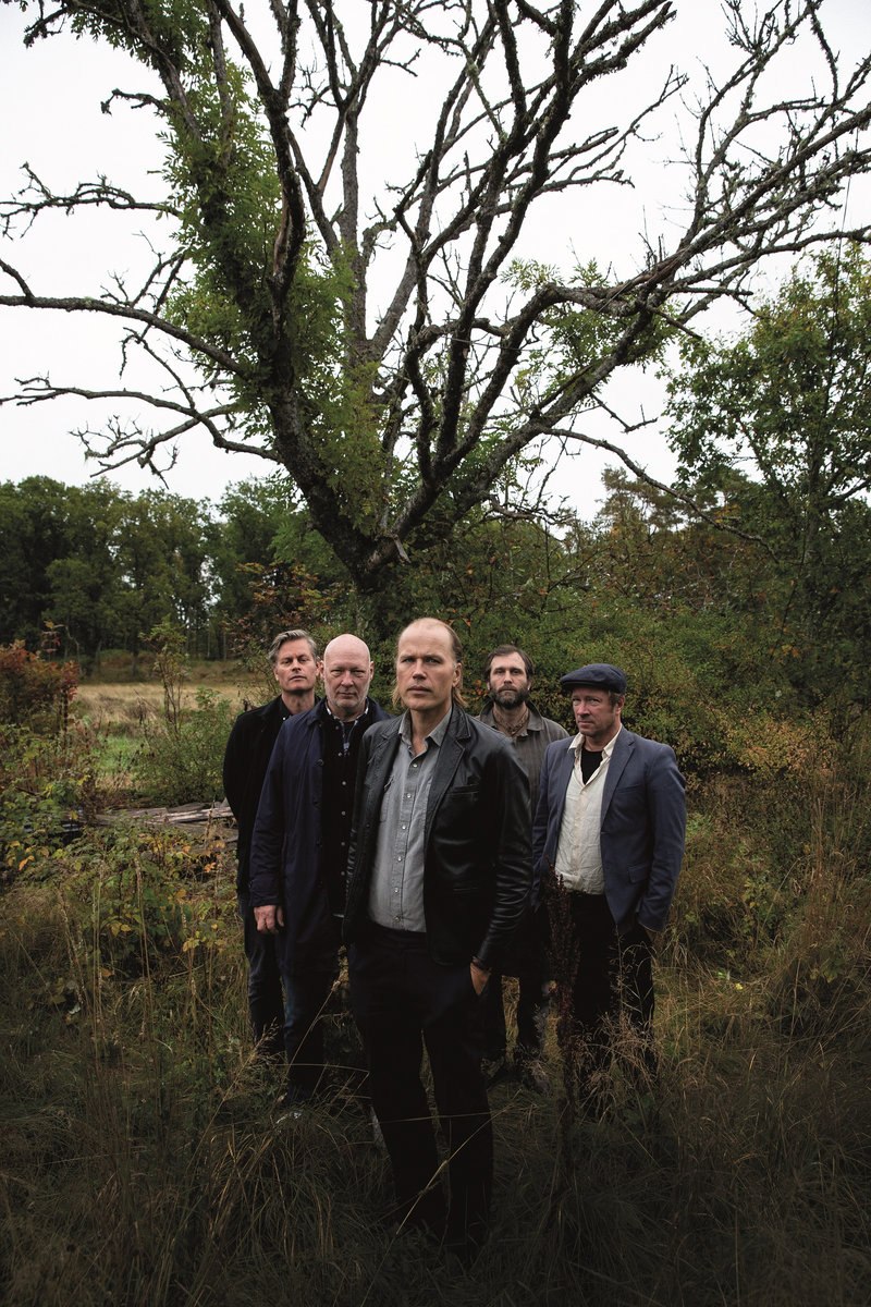 Kjellvandertonbruket - Fossils 2