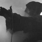 Funeral Fog thumbnail
