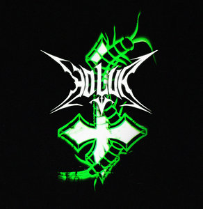 Cover of Holur