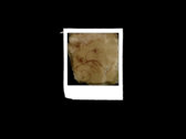 negative DESTROYED polaroid [series #1] photo 