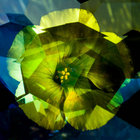 rudi_v_harten thumbnail