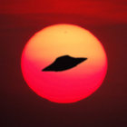 chillingpalm thumbnail