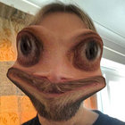 obber thumbnail