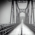 The Bridge image