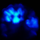 ghoultheghoulish thumbnail