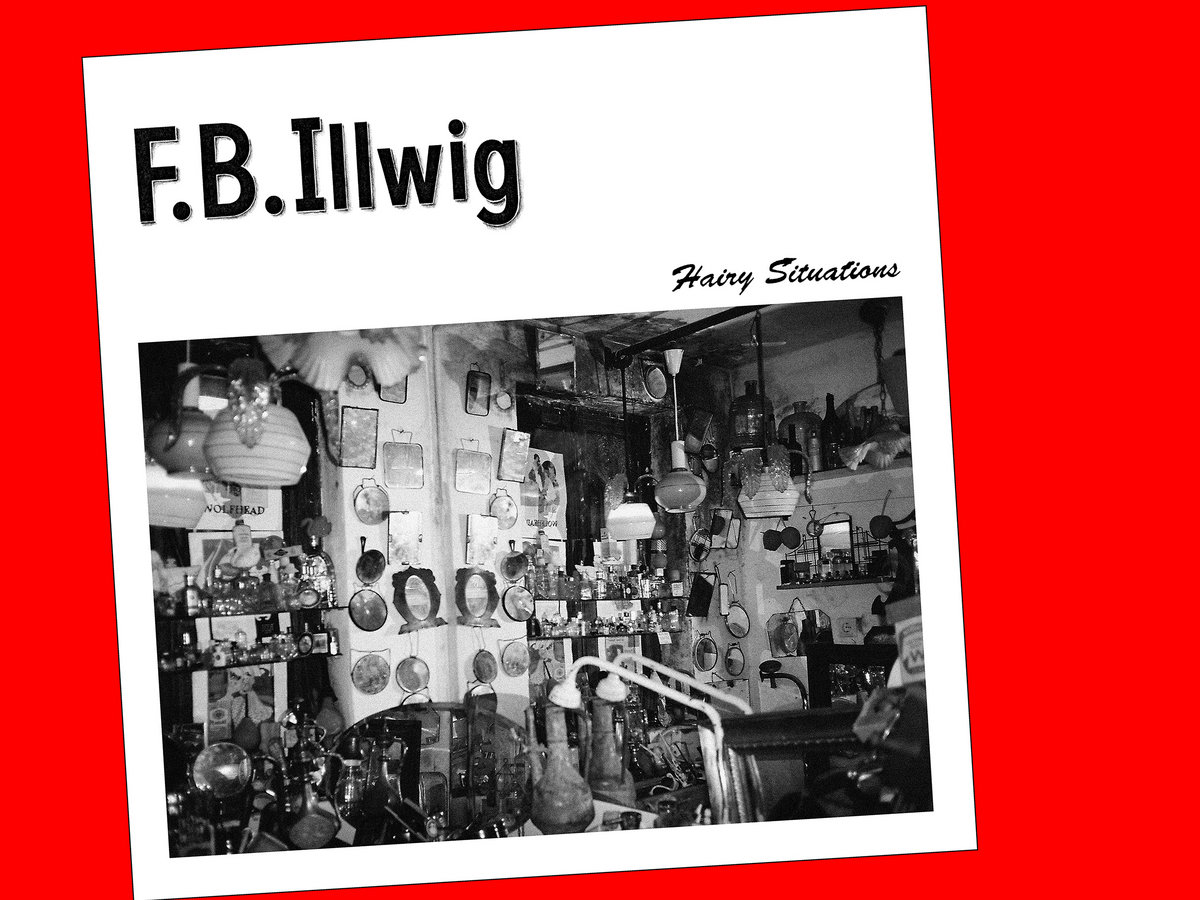 F.B.Illwig – Hairy Situations (Album LP)