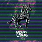 ravingzebra thumbnail