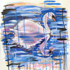 babyswans thumbnail