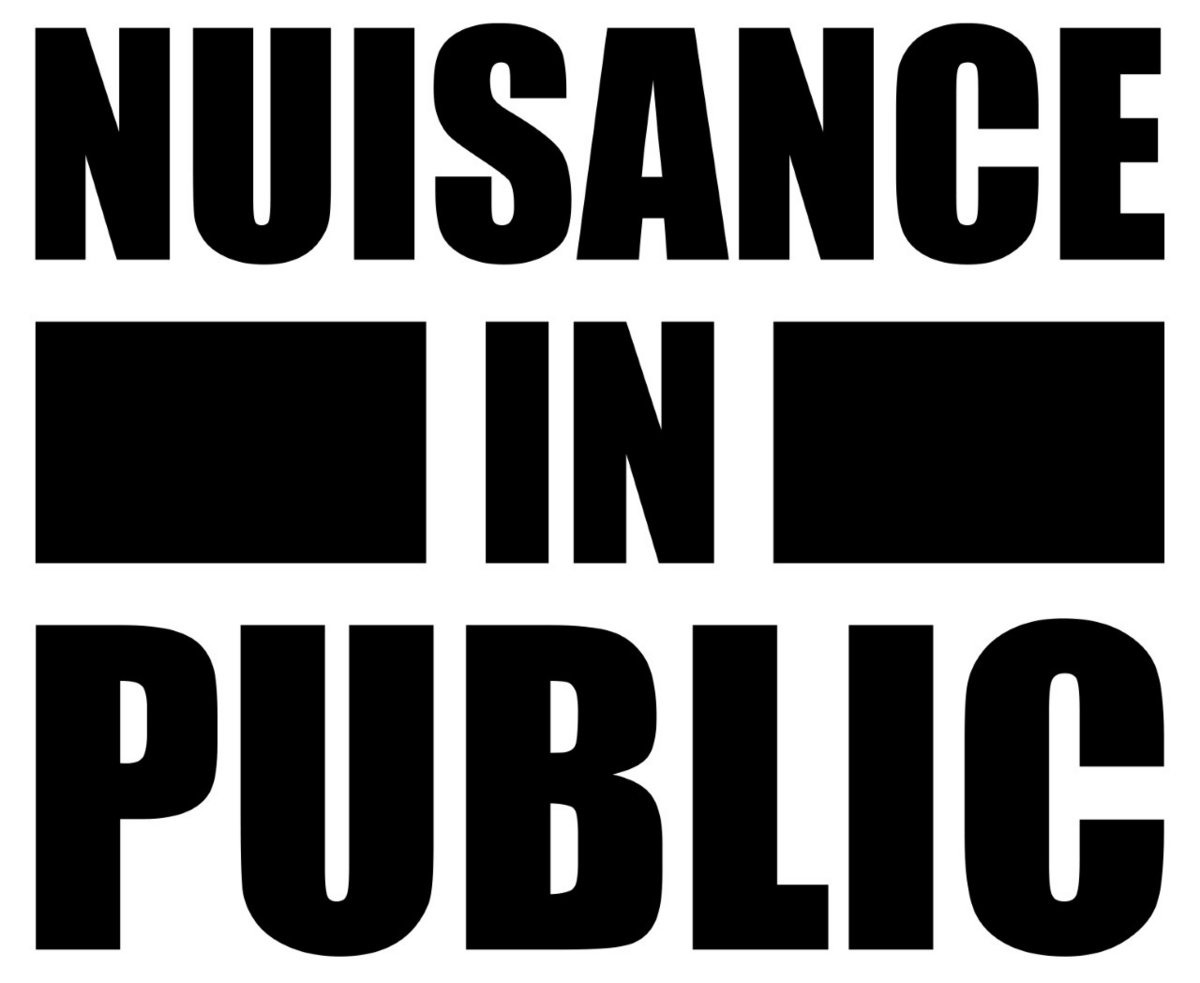 Nuisance In Public Nuisance In Public