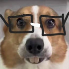 161_kira thumbnail