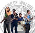 Band of Wolves image