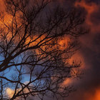 seuchenfriede thumbnail