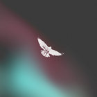 Vocal Studies and Uprock Narratives | Prefuse 73 | Warp Records