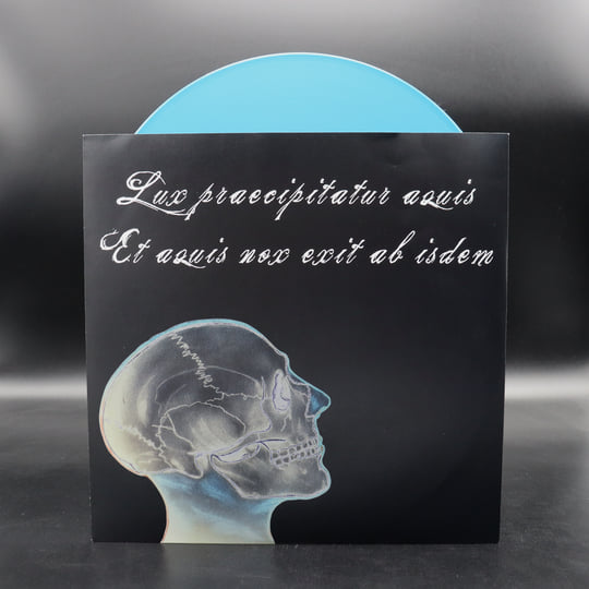 Allhallowtide | The Monochrome Set