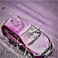 Venomous Snakes image