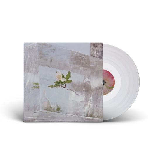 邦楽 w.o.d. F.L.O.W.E.R.S. CD 2016 Windflowers | Efterklang