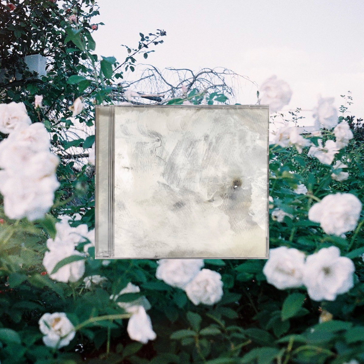 Wave Flower | 青い薔薇