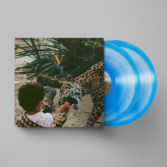 V | Unknown Mortal Orchestra