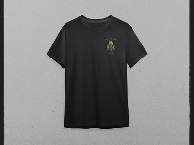 Bees Logo Shirt (backprint / black and gold) main photo