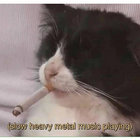 Nicholas Underhay thumbnail