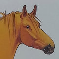 HorseSexHaver image