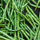 beanpod_0 thumbnail
