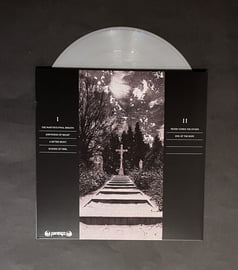 NEVER COMES THE STORM LP, image 2