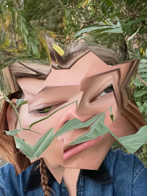 Sweet Debris Avert sweet-debris-avert