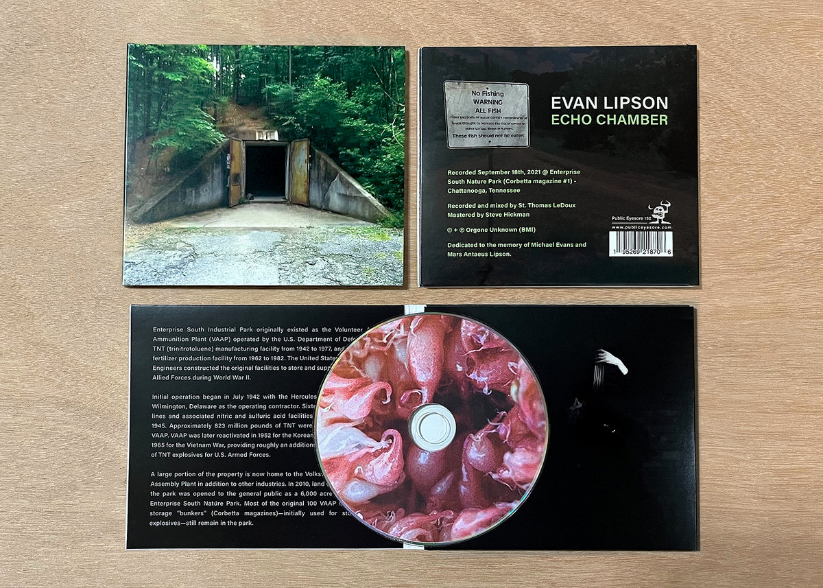 Echo Chamber Evan Lipson Public Eyesore Records