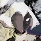 ahmwma thumbnail