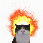 Cigarettes After Sex | Cigarettes After Sex