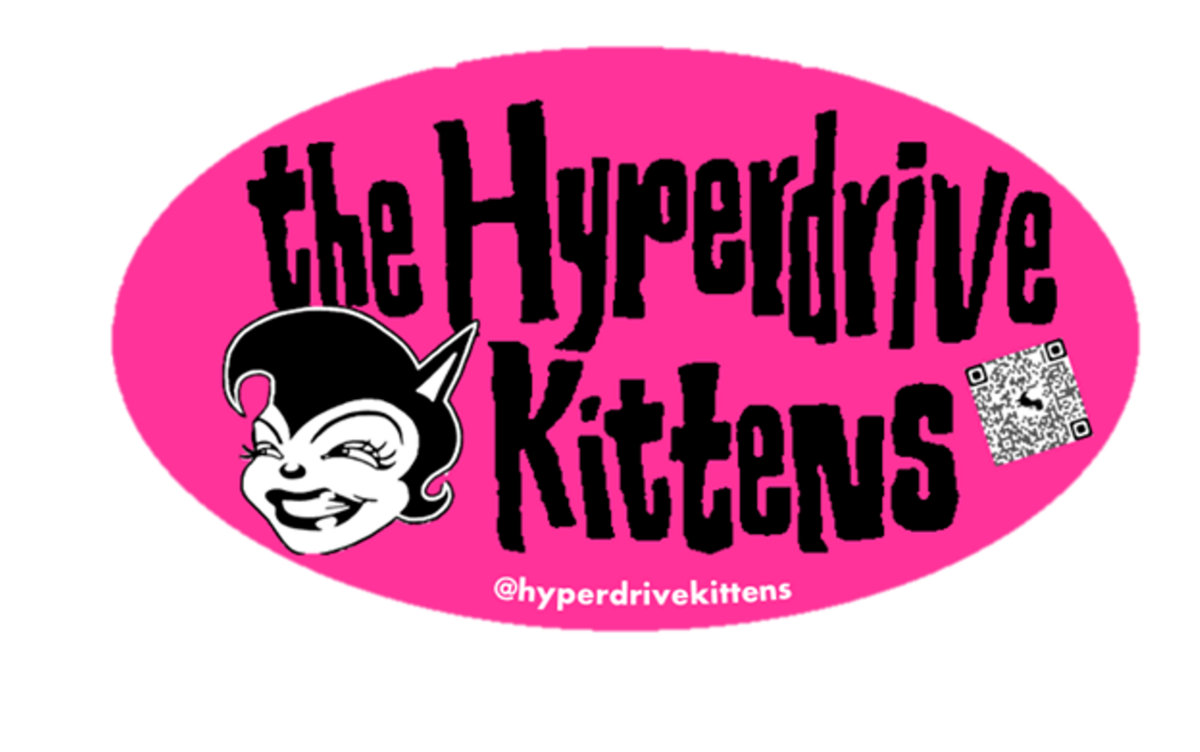 The Meow Factor  The Hyperdrive Kittens