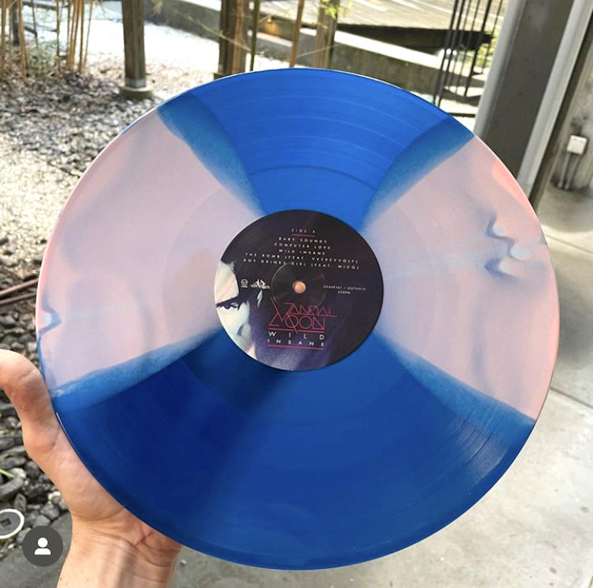 Wild Insane | Vandal Moon