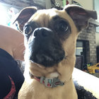 clarkybsu thumbnail