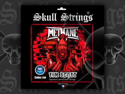 Tim Scott Signature Skull Strings (Bass) main photo