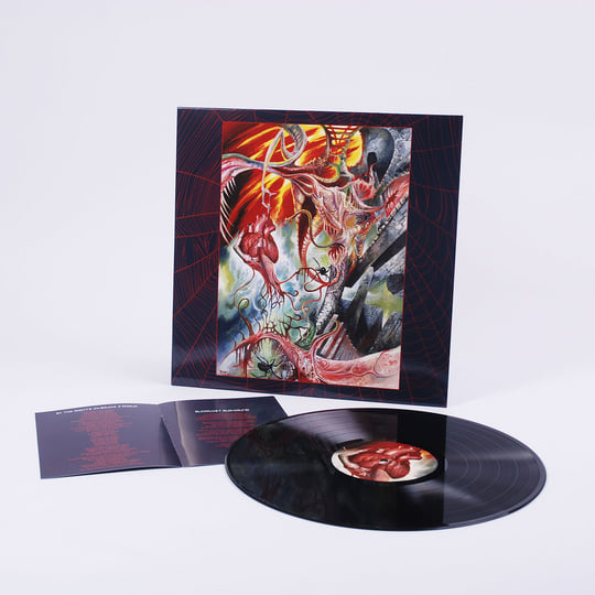 洋楽 THE BOSSHOSS - DO OR DIE (ltd Vinyl LP) The BossHoss – Do Or Die – Vinyl (LP, Album), 2009 [r2799122