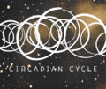 Circadian Cycle image