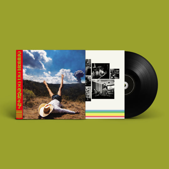 新品LP ギース　Geese 3D Country キャメロンウィンター 3D Country | Geese
