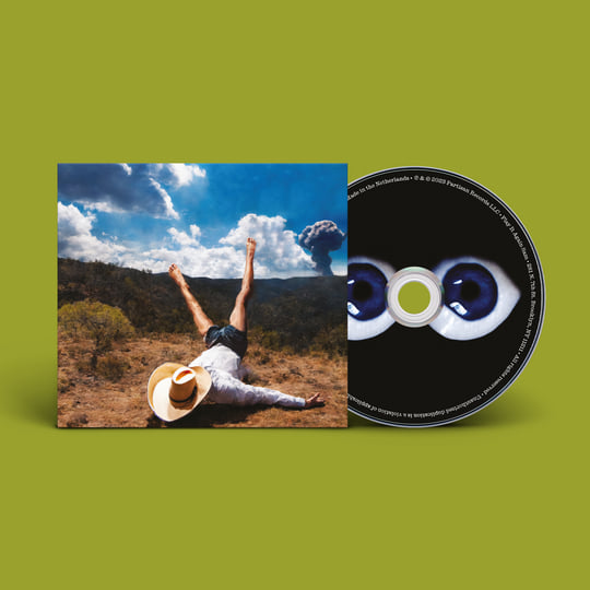 新品LP ギース　Geese 3D Country キャメロンウィンター 3D Country | Geese