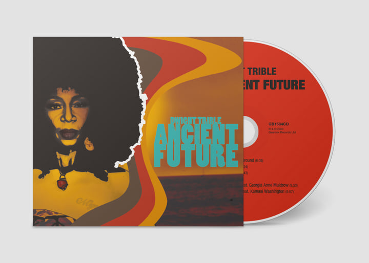 Ancient Future | Dwight Trible