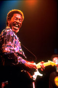 Luther Allison image