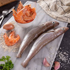 poissondujour thumbnail