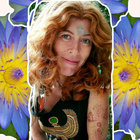 Elfmuse thumbnail