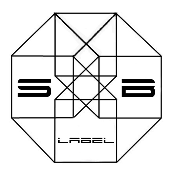 the-guiding-star-lanerian-space-boogie-lab