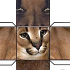 tyhsedo thumbnail