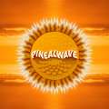 Pinealwave image